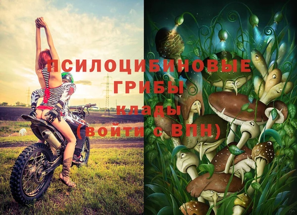 метамфетамин Инта