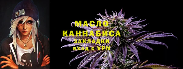 ECSTASY Инсар