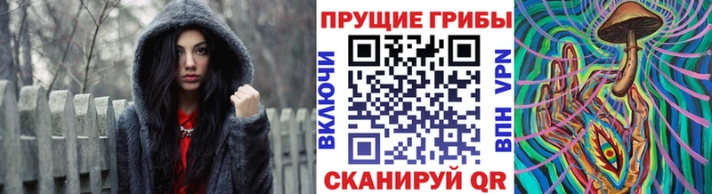 Псилоцибиновые грибы Psilocybine cubensis  Купить где  Бронницы 